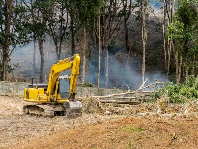 Land Clearing Service