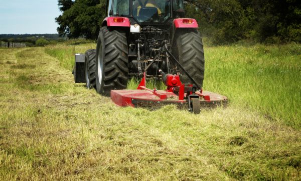 Cost of Brush Clearing Service in Dunnellon
