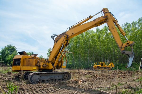 Cost of Farm Clearing in Dunnellon
