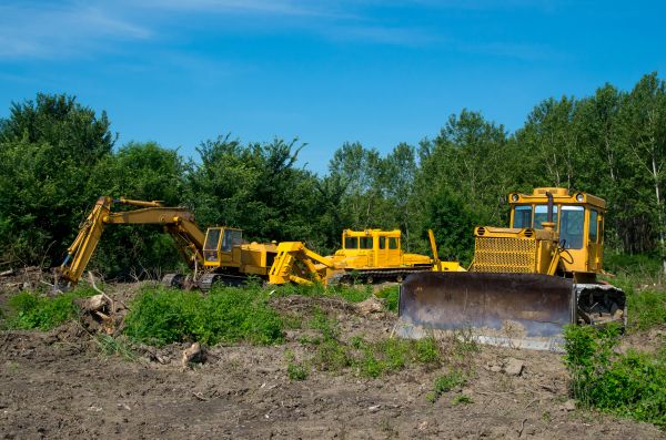 Cost of Bulldozer Clearing in Dunnellon